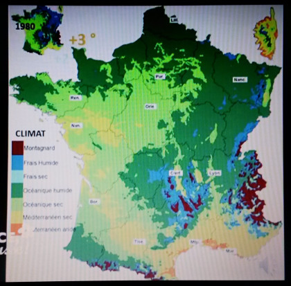 Aire répartition climats forestiers +3°C