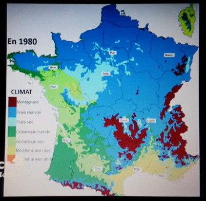 Aire répartition climats forestiers en 1980
