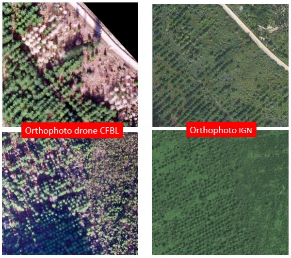 Comparaison ortho drone