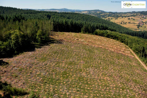 Vue aérienne de plusieurs parcelles forestières capturées à l'aide d'un drône en Saône-et-Loire.