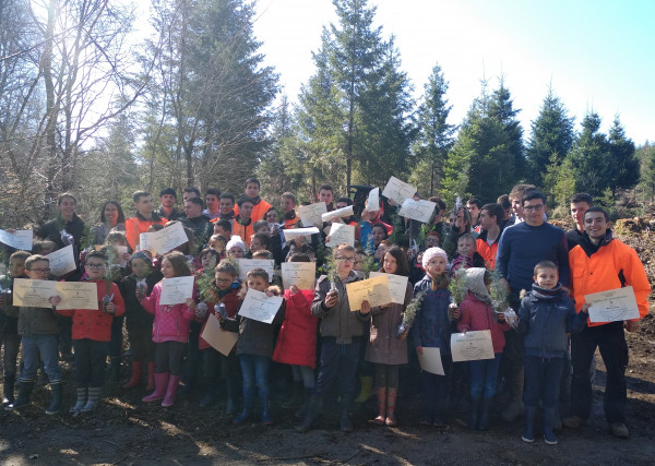 Les jeunes pousses plantent les forêts de demain !