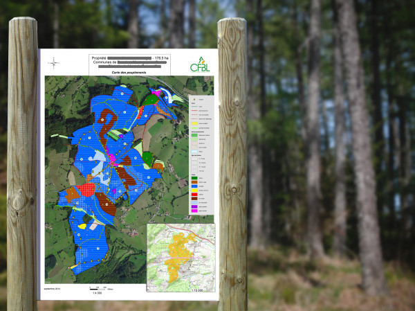 Carte des peuplements sur un panneau en forêt