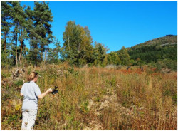 proxy détection plantation douglas