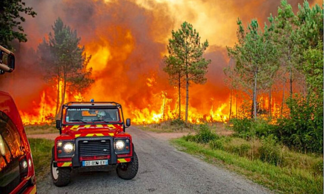 Incendies en forêt