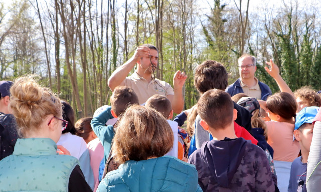 La forêt s'invite à l'école