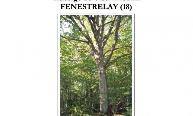 Vente groupée du jeudi 16 juin 2016 - Fenestrelay (18)