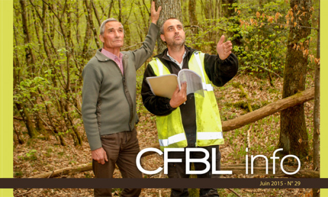Le CFBL info de juin est sorti !