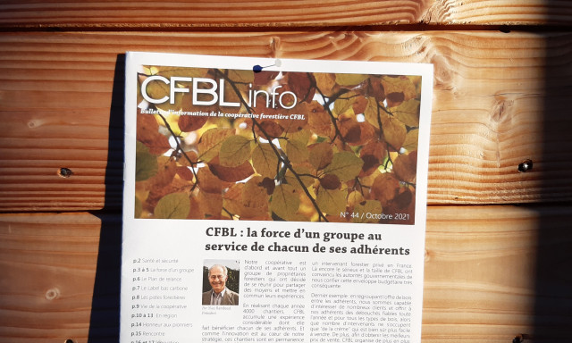 Le CFBL info n° 44 vient de paraitre