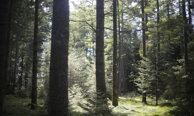 La biodiversité, gage de qualité !