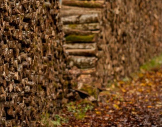 France Bois Forêt va débuter sa campagne pour la collecte de la CVO 2018