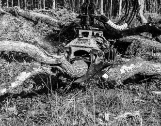 Quand on exploite une forêt, on ne la détruit pas