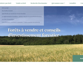 Du nouveau chez INVESTISSEMENT FORESTIER & PATRIMOINE