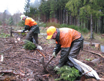 Les plantations 2016 ont démarré après un hiver très clément !