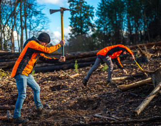 Comment bénéficier des aides du plan de relance en tant que propriétaire forestier ?