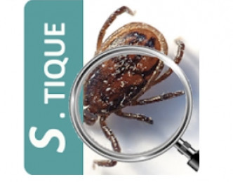 "Signalement Tique" l'outil de prévention contre la maladie de Lyme