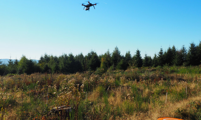 Projet innovant de détection automatique des jeunes plants forestiers