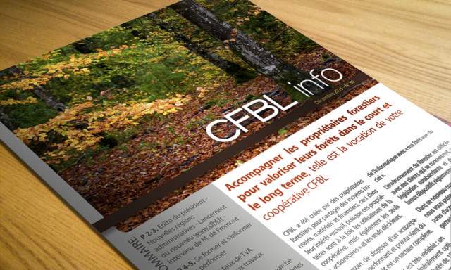 Sortie du CFBL Info de décembre 2015