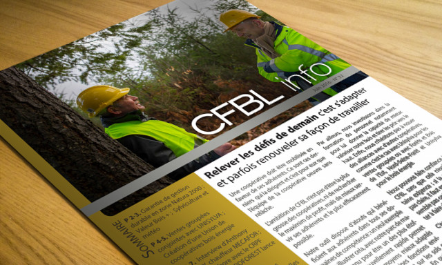 Le nouveau CFBL info de juin est en ligne