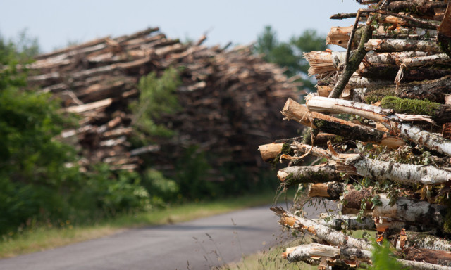La ressource en bois énergie est insuffisante pour répondre à la demande ?