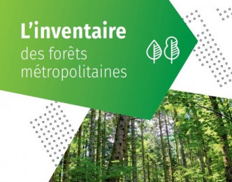 Les forêts résineuses ont progressé en France ?