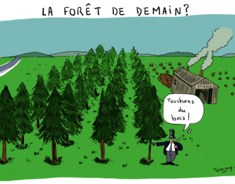 Une malforestation se propage à cause des industries du bois ?