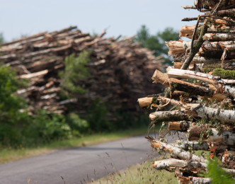 La ressource en bois énergie est insuffisante pour répondre à la demande ?
