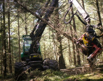 Les panneaux de particules, une aubaine pour nos forêts ?